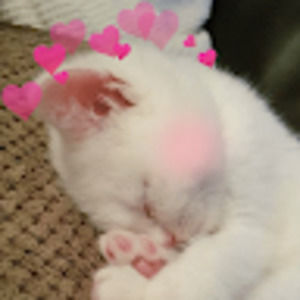 Meet your Posher, Ripple